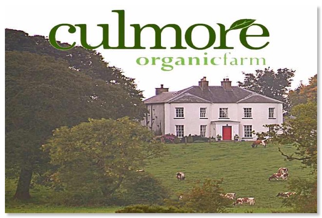 CulmoreHouse_800s