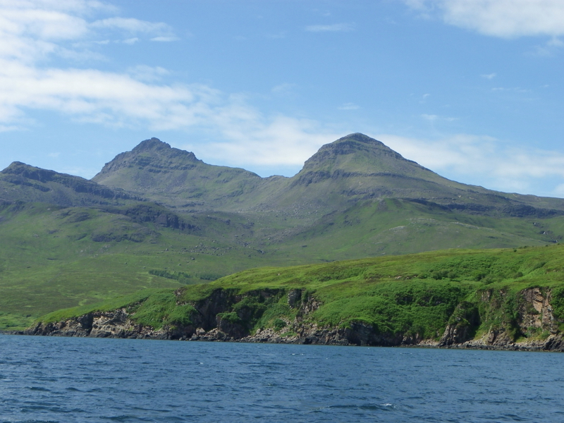 Stacks Image 202664