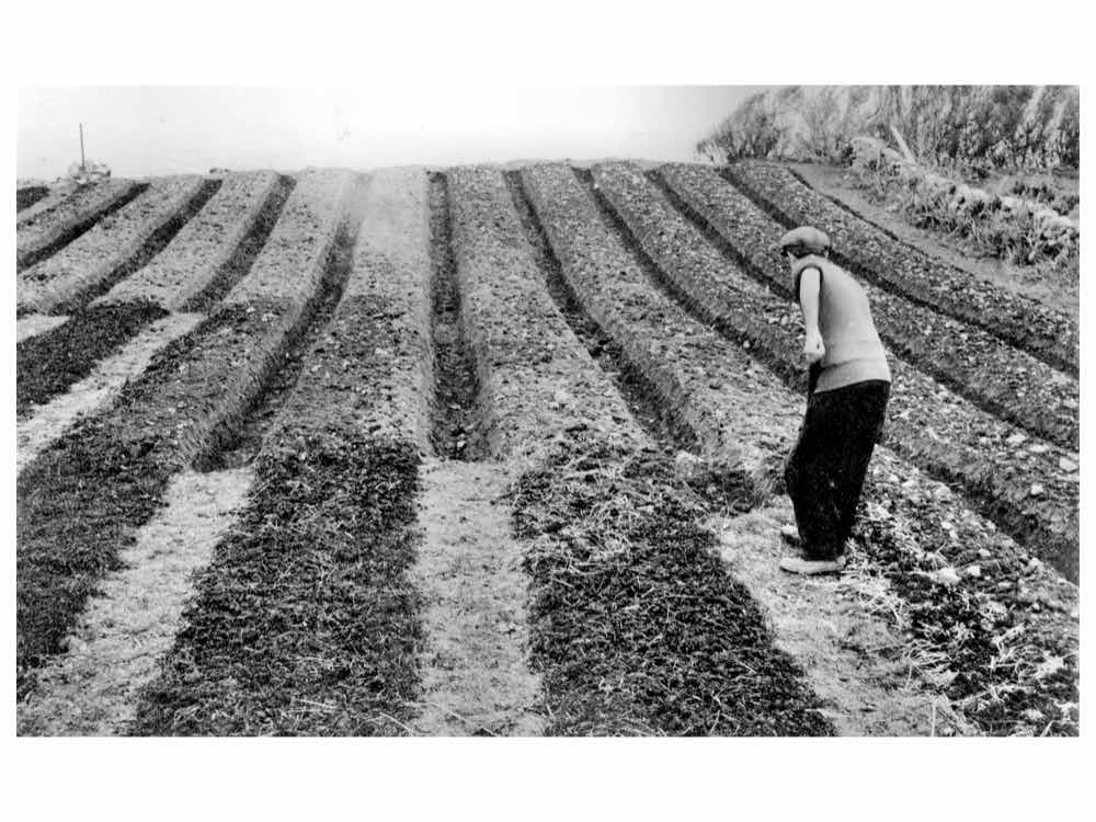 Stacks Image 203181
