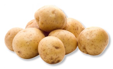 Potato_Light_600x353