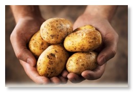 PotatoHands_300x200